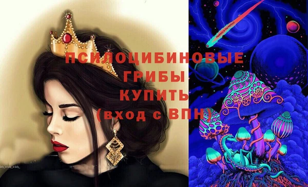 ешки Алексин