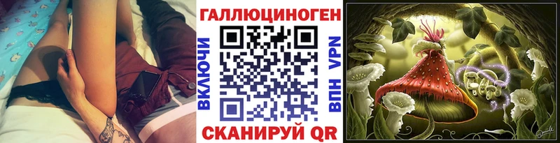 Галлюциногенные грибы Psilocybine cubensis  Гаджиево 