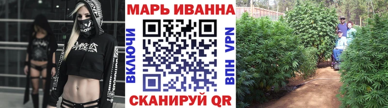 Шишки марихуана Amnesia магазин Гаджиево